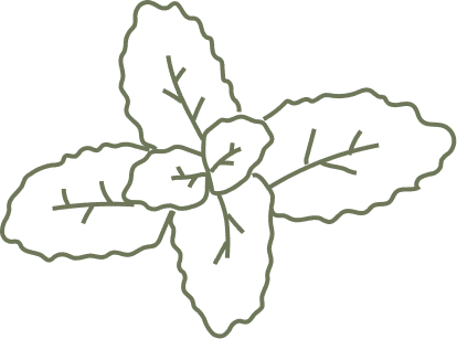 Ornamen Daun