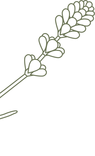 Ornamen Bunga