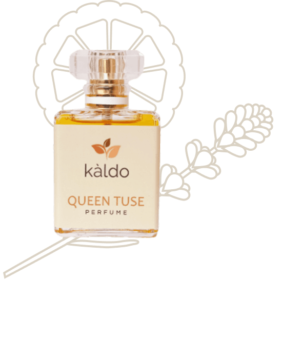 Queen Tuse Parfume