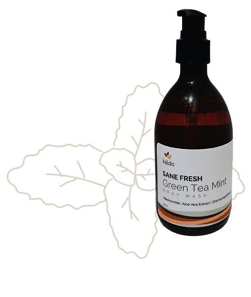 Sane Fresh Body Wash